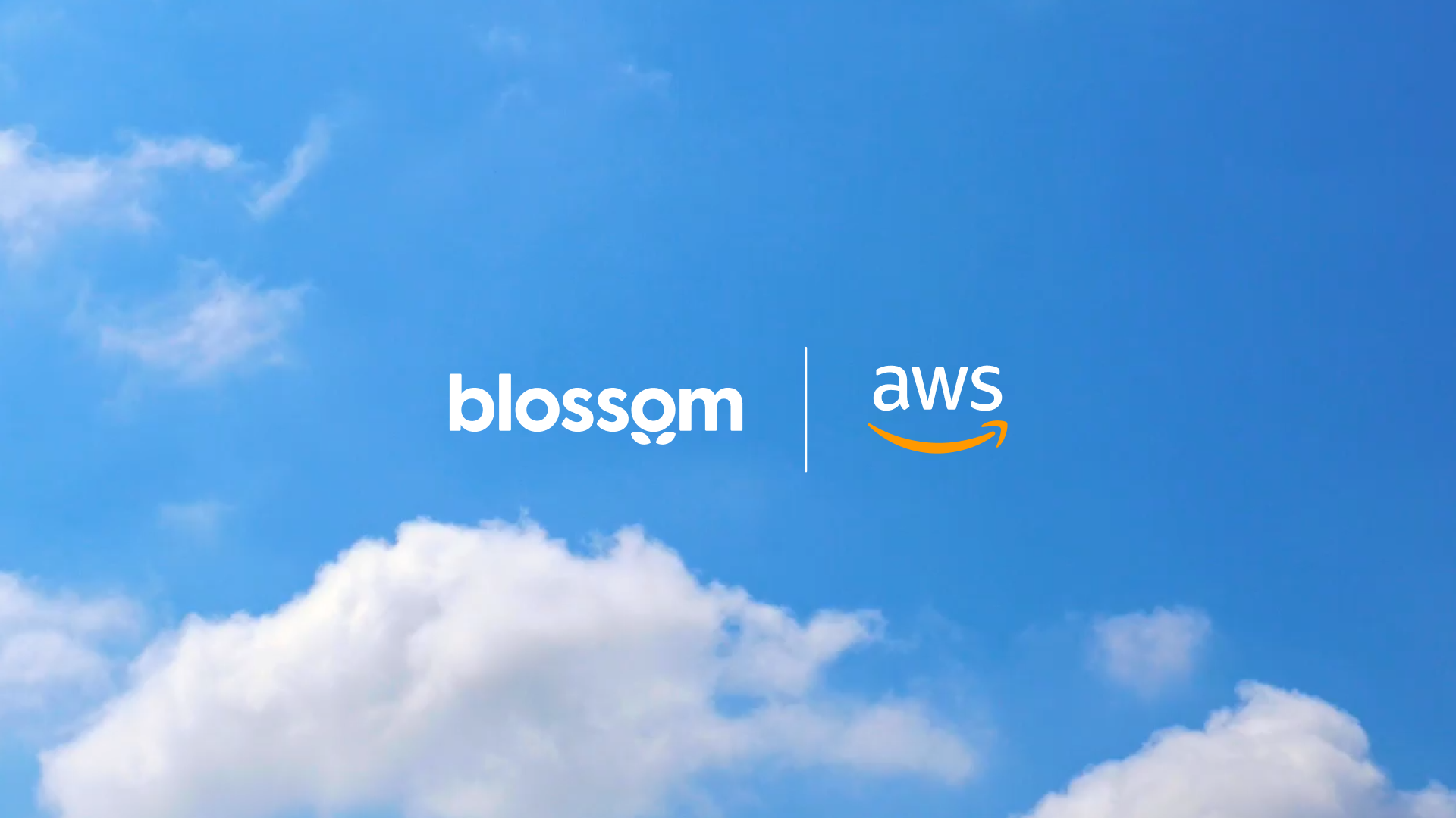 The Blossom platform running on AWS cloud infrastructure.